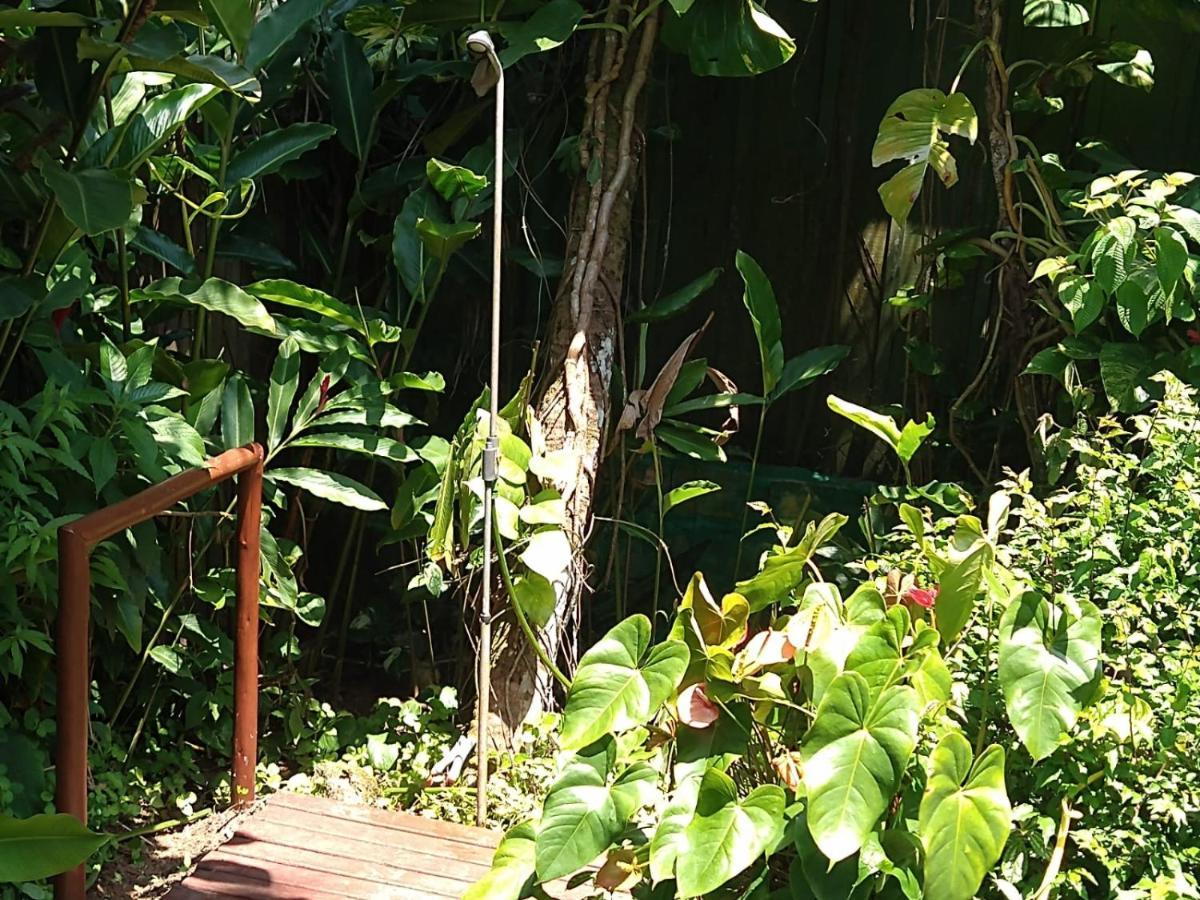 Casa No Morro - Charme Em Meio A Natureza Pertinho Da Praia 3 Dormitorios Сан-Себастьян Экстерьер фото